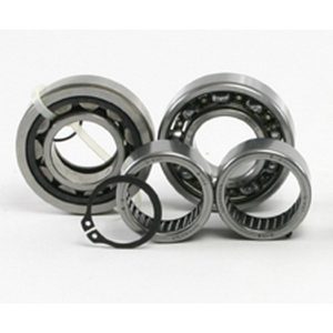 Cam Bearings for Twin Cam® Engines