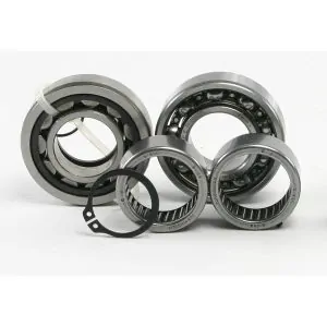 Cam Bearings & Cam Gears