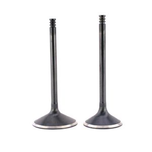 Baisley Pro-Street Twin Cam® Valves