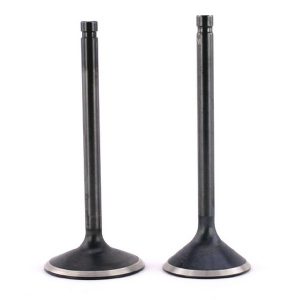 Baisley Pro-Street EV Sportster®/Buell Valves