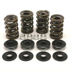 Pro-Street 5/16" Spring Kits For EV & Twin Cam® Engines