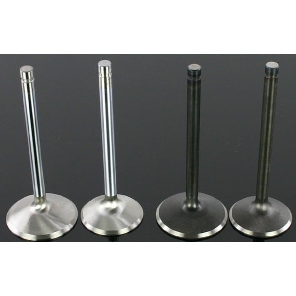 Manley Twin Cam® Valves