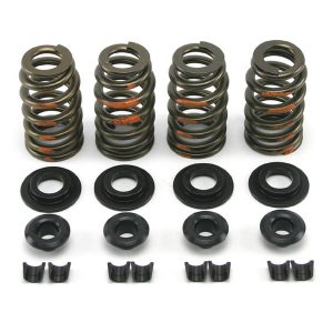 Manley EV & TC Beehive & Dual-Spring Valve Spring Kits