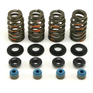 #568-242 Manley 7mm EV/TC .600" Lift Spring Kit with Moly Collars|#568-241 Manley 5/16" EV/TC .600" Lift Spring Kit with Titanium Collars|#568-243 Manley 7mm EV/TC .600" Lift Spring Kit with Titanium Collars|#568-240 Manley 5/16" EV/TC .600" Lift Spring Kit with Moly Collars